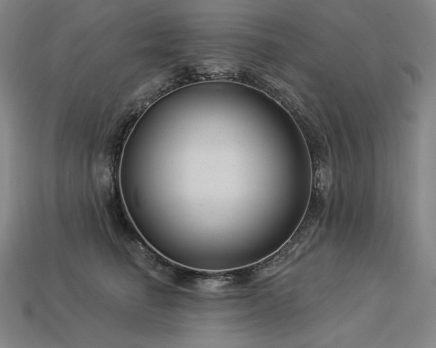 X0000113960662200909251401