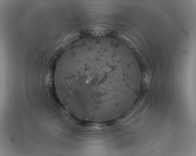 X0000113960663200909251401