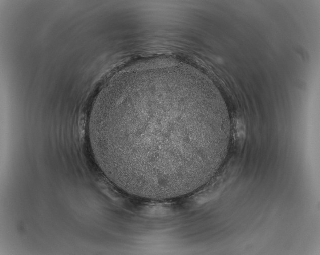 X0000113960664200909251401