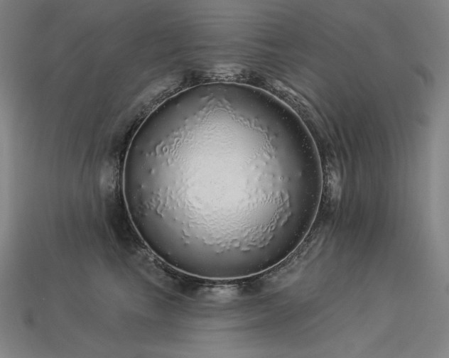 X0000113960665200909251401