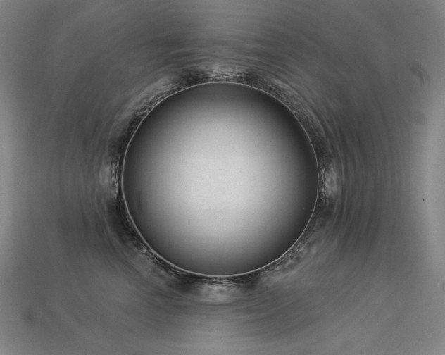 X0000113960666200909251401