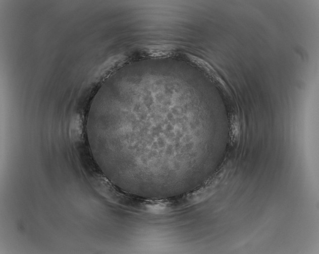 X0000113960667200909251401