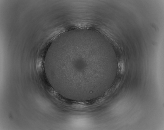 X0000113960671200909251401