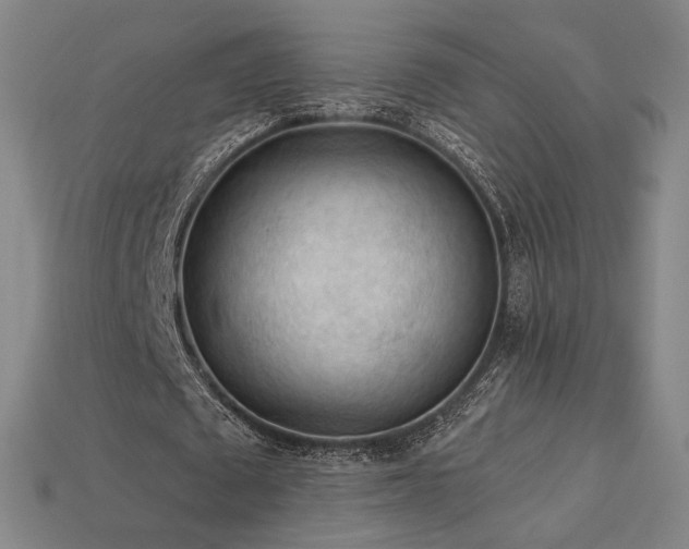 X0000113960673200909251401