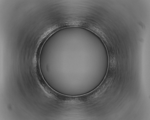 X0000113960674200909251401