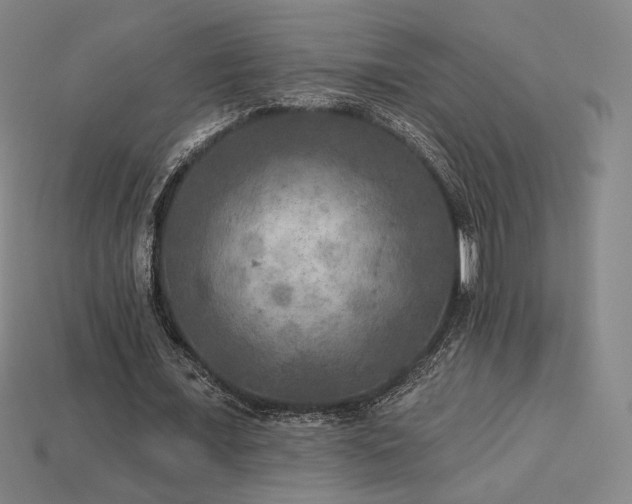 X0000113960675200909251401