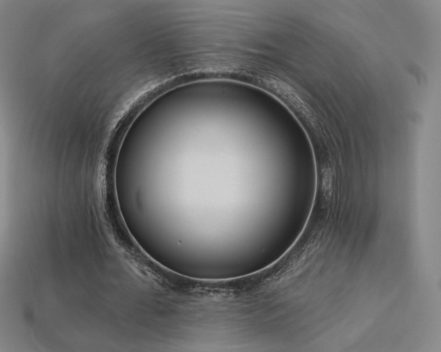 X0000113960676200909251401