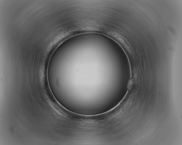 X0000113960677200909251400