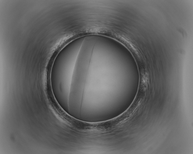 X0000113960678200909251400