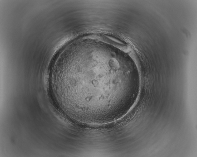 X0000113960679200909251400