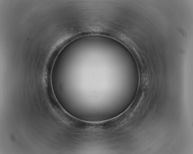 X0000113960680200909251400