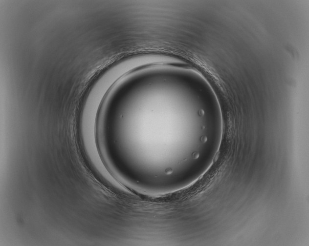 X0000113960681200909251400