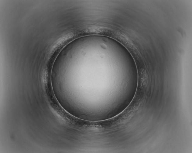 X0000113960683200909251400