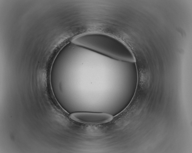 X0000113960684200909251400