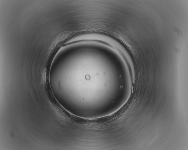 X0000113960685200909251400