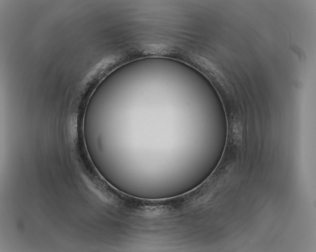 X0000113960686200909251400