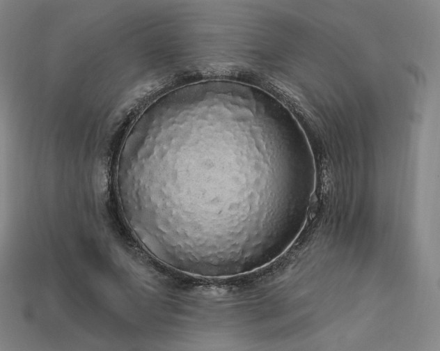 X0000113960687200909251400