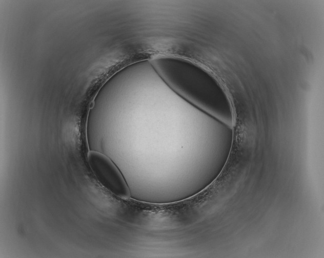 X0000113960688200909251400