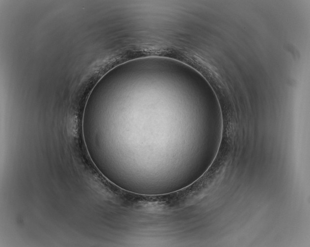 X0000113960689200909251400