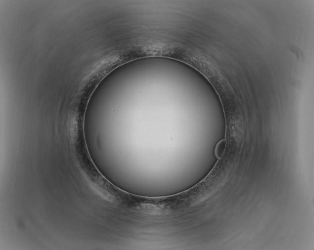 X0000113960690200909251400