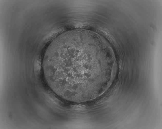 X0000113960691200909251400