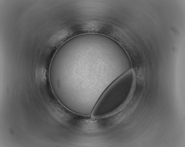 X0000113960692200909251400