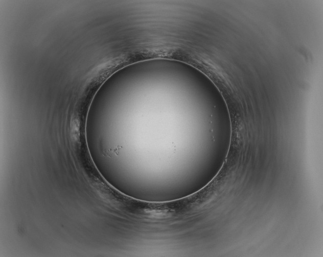 X0000113960693200909251400