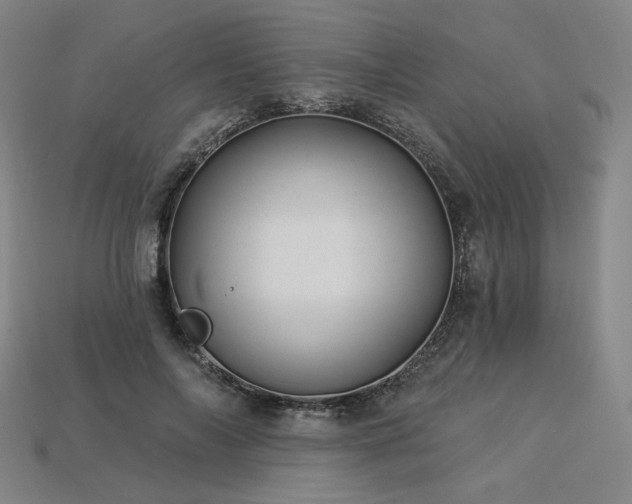 X0000113960694200909251400