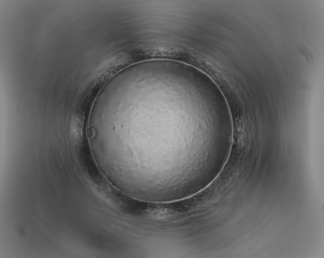 X0000113960695200909251400