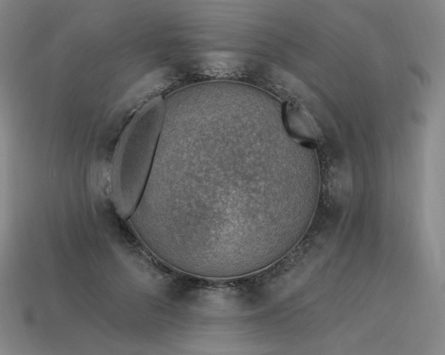 X0000113960696200909251400