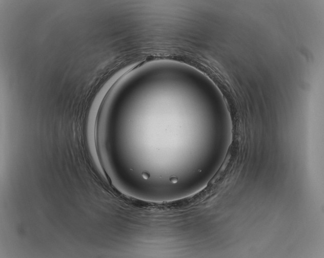 X0000113960697200909251400