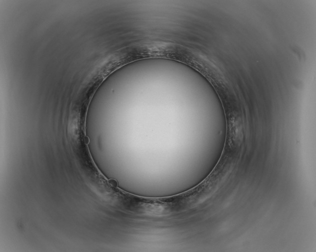 X0000113960698200909251400