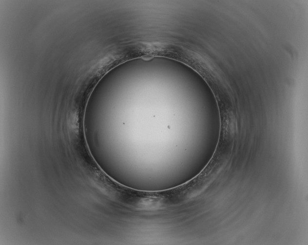 X0000113960700200909251400