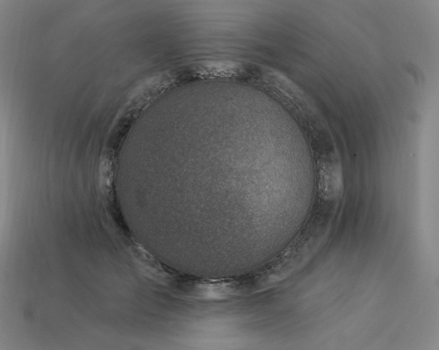 X0000113960701200909251400