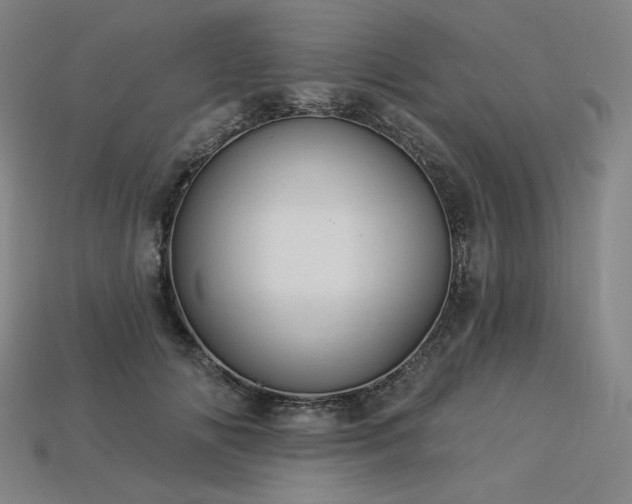 X0000113960702200909251400