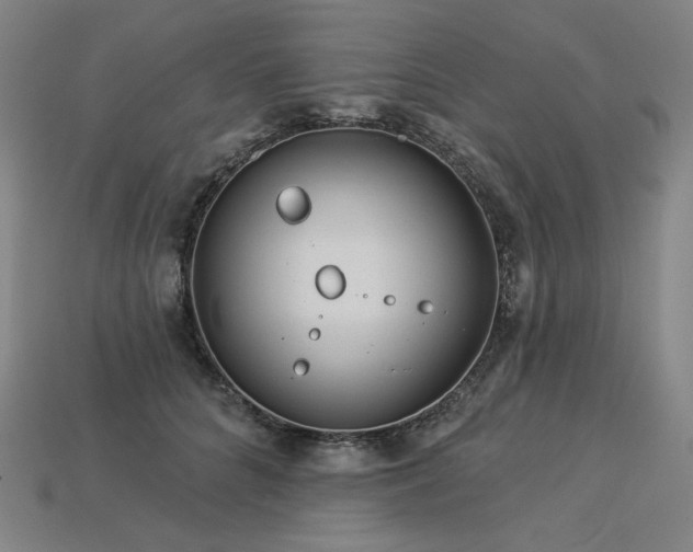 X0000113960704200909251400