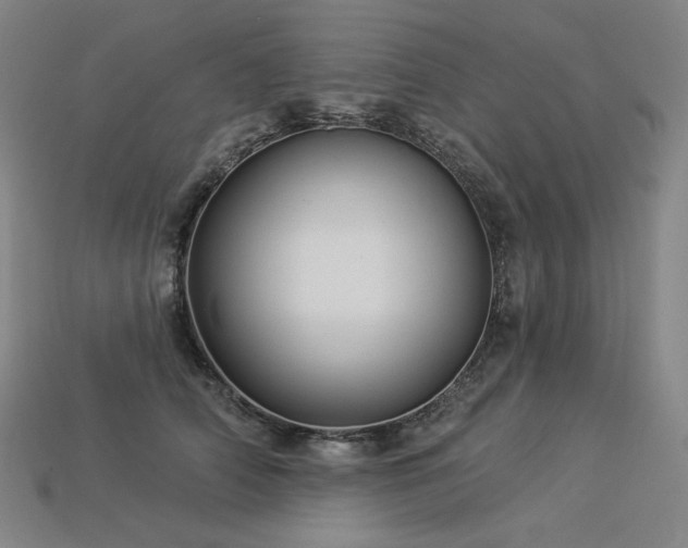 X0000113960706200909251400