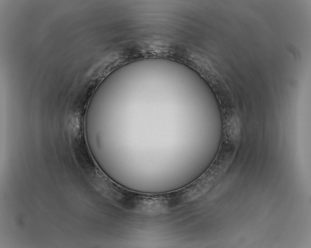 X0000113960709200909251400