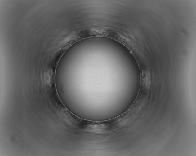 X0000113960712200909251400