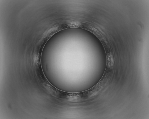 X0000113960714200909251400