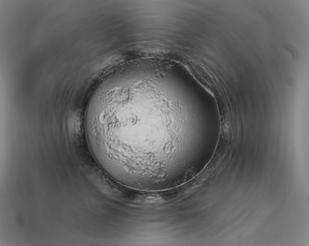 X0000113960715200909251400