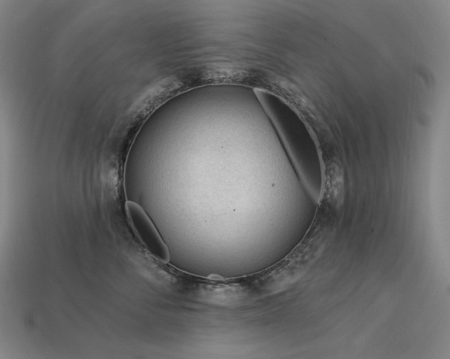 X0000113960716200909251400