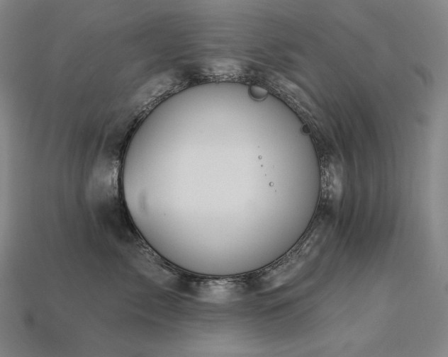 X0000113960717200909251400