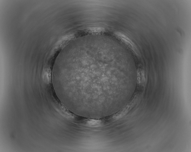 X0000113960718200909251400