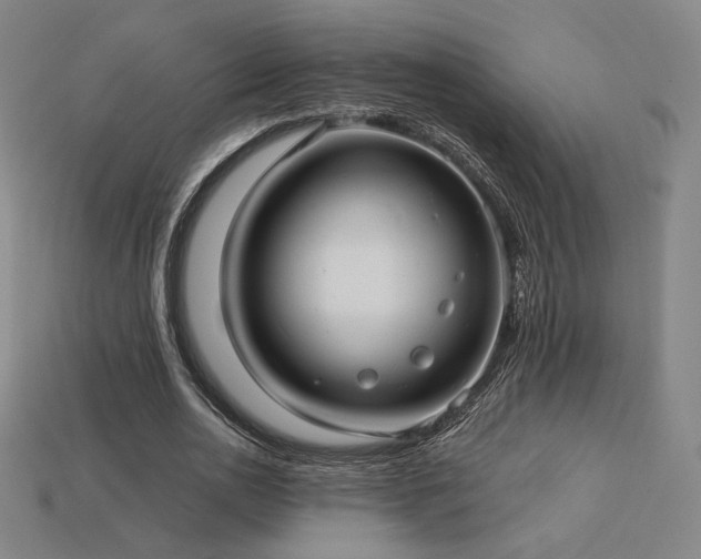 X0000113960726200909251359