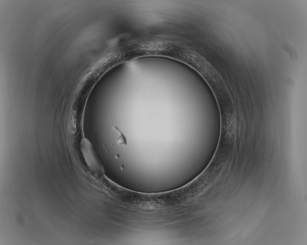 X0000113960731200909251359