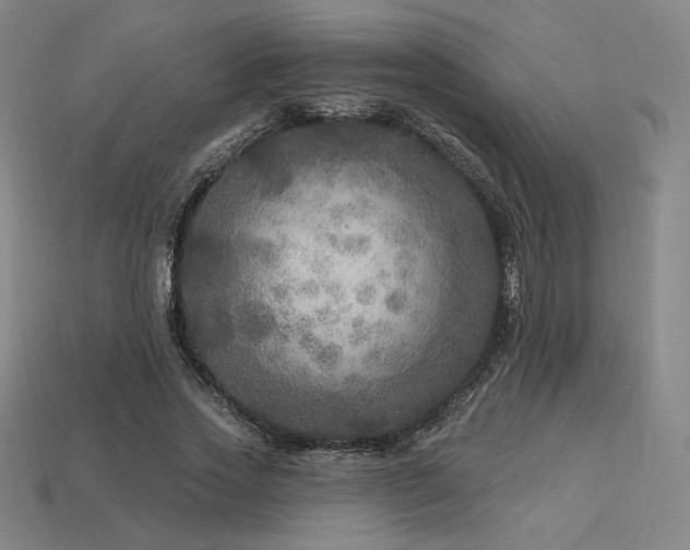 X0000113960733200909251359
