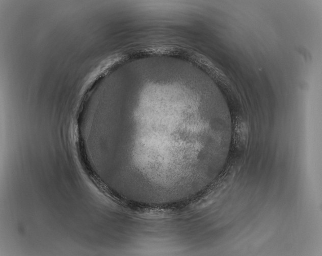 X0000113960734200909251359
