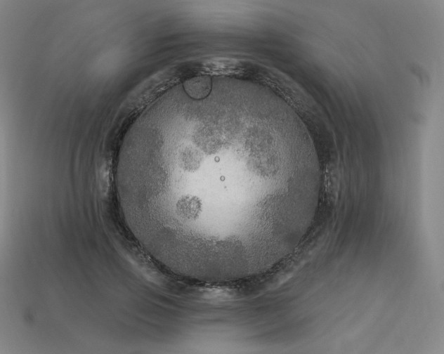 X0000113960741200909251359