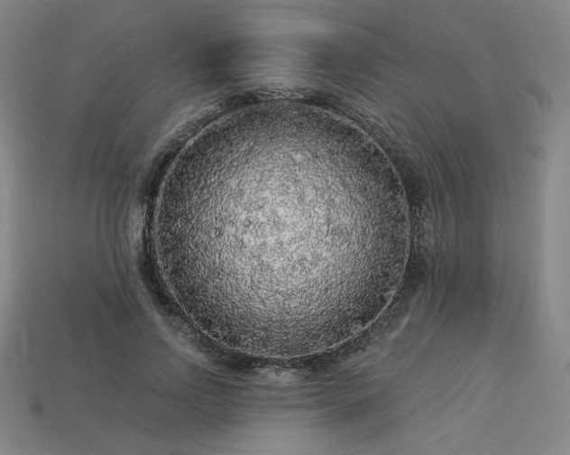X0000113960742200909251359